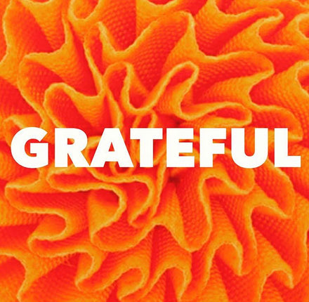 Gratefulness and the impact it has on our lives